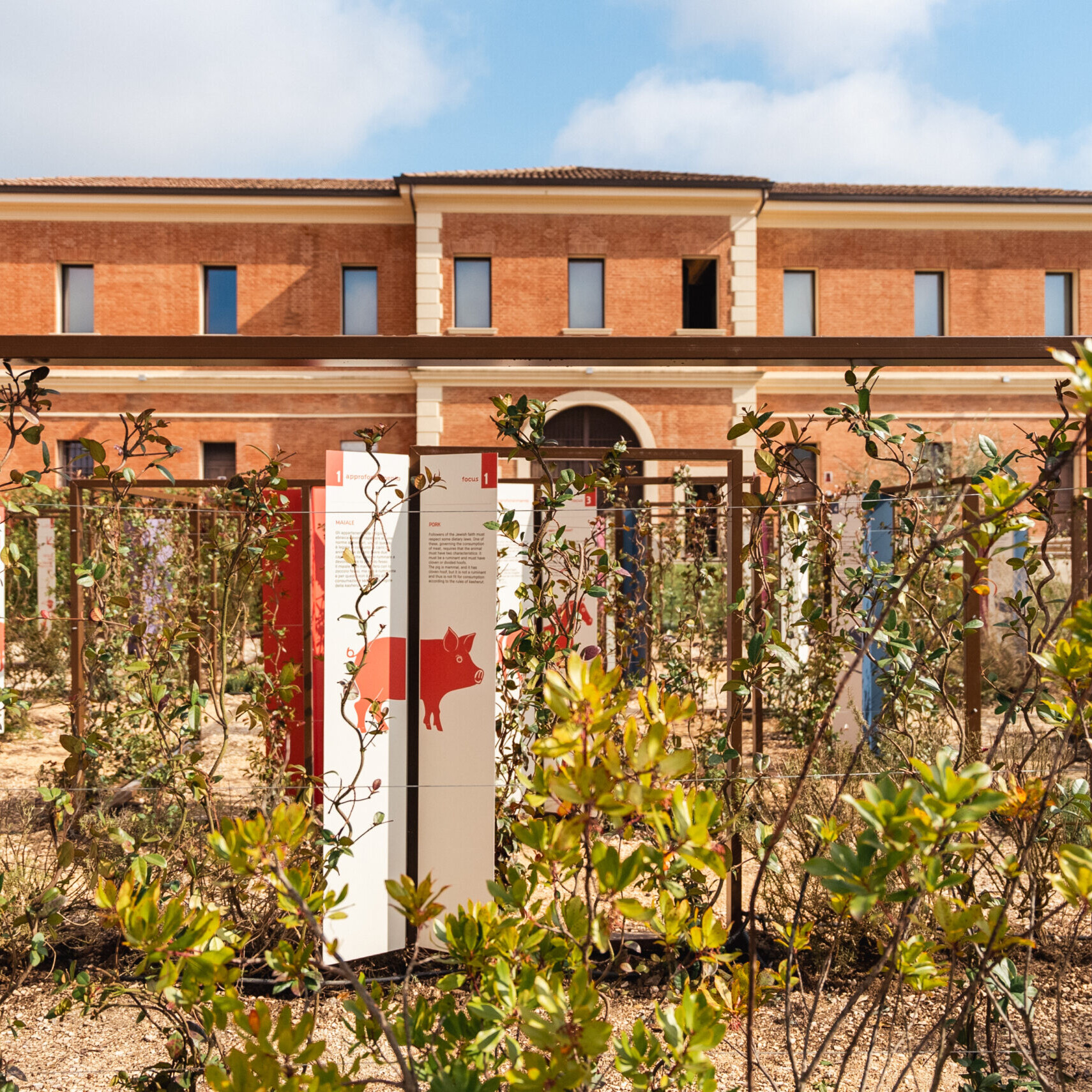 Il Giardino delle Domande. Foto di Tim Berezin